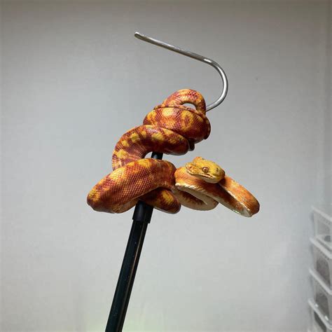 non-mainstream (@non__mainstream) • Instagram photos and videos