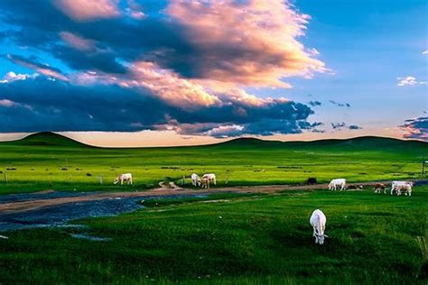 2019【内蒙古旅游景点大全】内蒙古旅游攻略,内蒙古旅游吃喝玩乐指南 - 去哪儿攻略社区