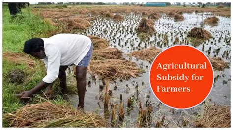 Good News for Farmers: Govt May Transfer Subsidy for Fertilizers ...