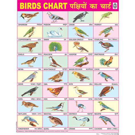 BIRDS CHART SIZE 45 X 57 CMS
