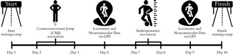 Relating Anthropometric Profile to Countermovement Jump Performance and ...