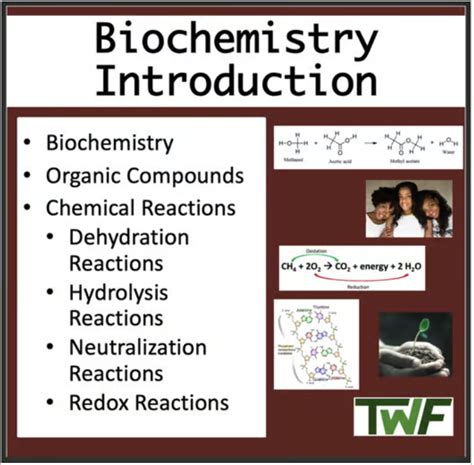 Image result for Biochemistry Lesson