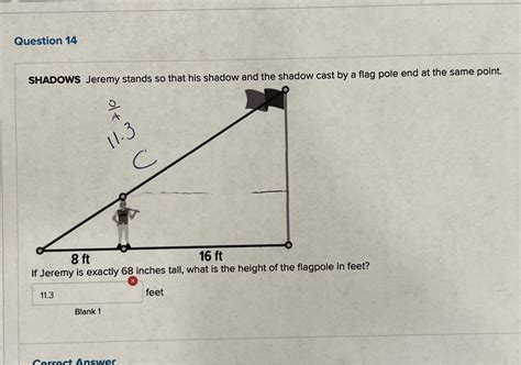 [Solved] Question 14 SHADOWS Jeremy stands so that his shadow and the ...