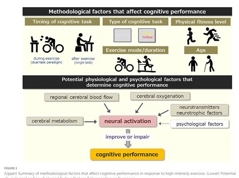 High Intensity Aerobic Exercise 的图像结果