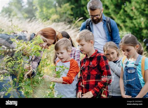 Student Class 的图像结果
