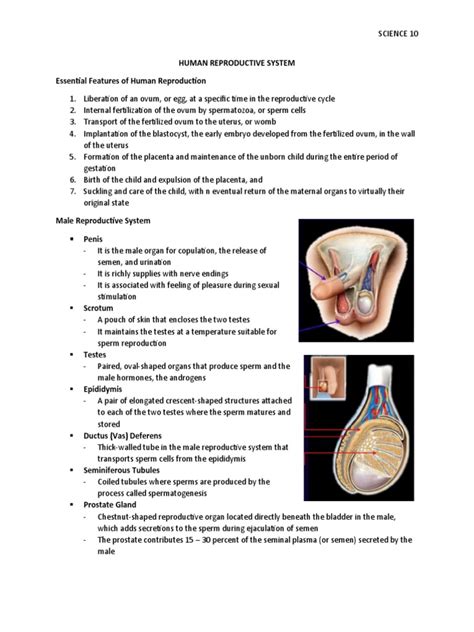 Image result for Reproduction Science
