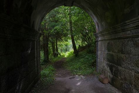 Dogs Jump To Their Death From This Bridge In Scotland