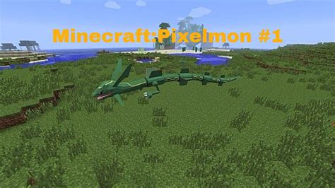 Pixelmon Mod Gameplay 的图像结果