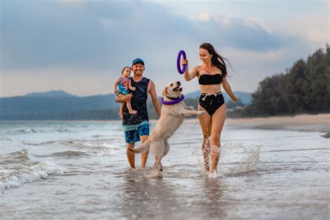 Family shooting on the beach | Семейная съемка на пляже. Professional ...