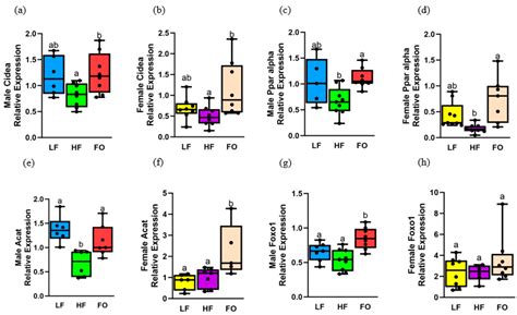 Role of Fish Oil in Preventing Paternal Obesity and Improving Offspring ...