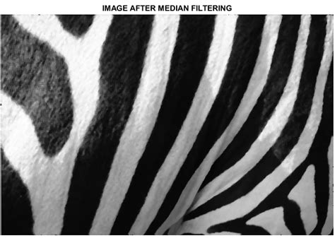 Image result for Median Filter Image Processing