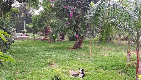 PANAGAL PARK (2026) All You Need to Know BEFORE You Go (with Photos ...