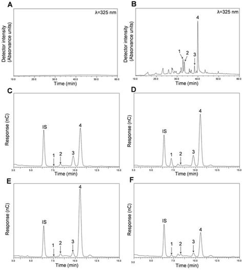 Anti-Inflammatory, Anti-Hyperglycemic, and Anti-Aging Activities of ...