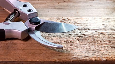 How To Sharpen Small Pruning Shears at Roosevelt Nelson blog
