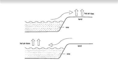 Image result for Physics Notes Form 2 PDF