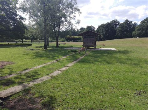 THE BEST Scheessel Gift & Speciality Shops (2026) - with Reviews