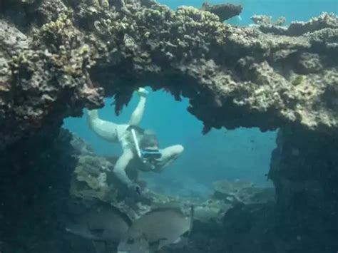 Now, a ghost town - Climate report flags Great Barrier Reef devastation ...