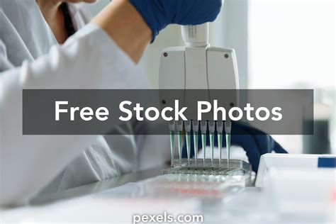 PCR Process 的图像结果