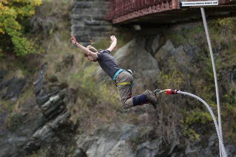 Image result for bungee