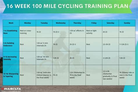 Image result for Cycling Workout Program