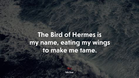 The Bird of Hermes is my name, eating my wings to make me tame. | Kohta ...