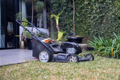 80+ Mexican Lawn Mower Stock Photos, Pictures & Royalty-Free Images ...