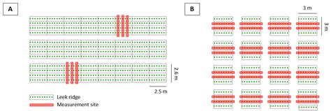 Detection of Leek Rust Disease under Field Conditions Using ...