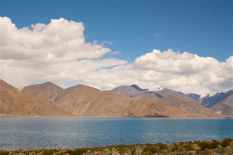 Negative Impact On Local Community 的图像结果