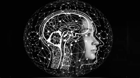 Even brief exposure to air pollution may impair brain function: Study