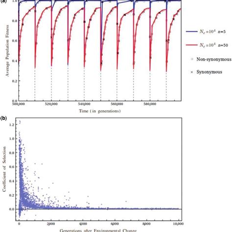 Simulated Evolution 的图像结果