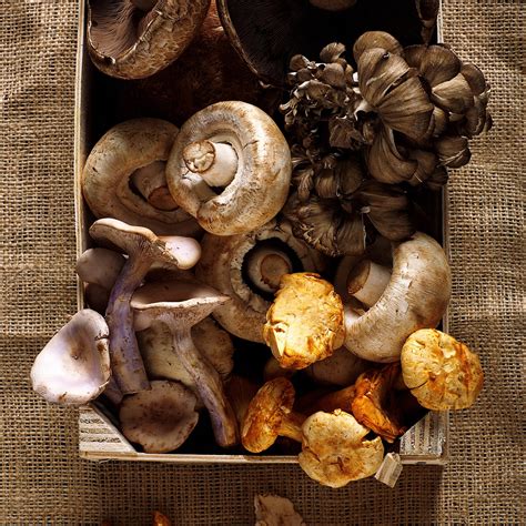 Mushrooms – Northwest Wild Foods