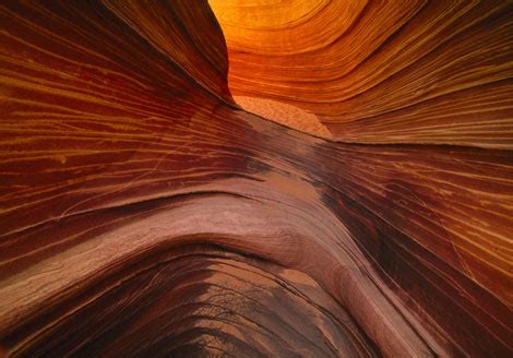 Patterns of Motion in Nature 的图像结果