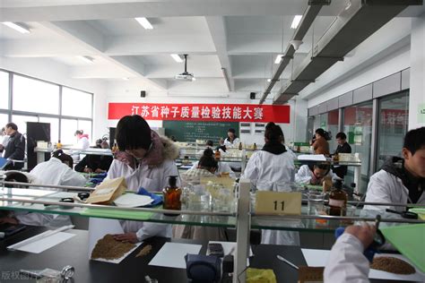 南京专科学校排名，江苏省大专排名