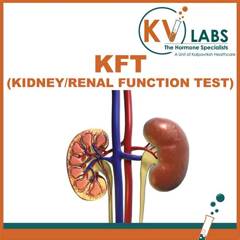 Kidney Function Test Tube Color at Louise Mcmakin blog