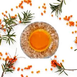 Seabuckthorn India, Jaipur - Trader - Wholesaler / Distributor of ...