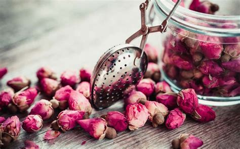 Slurrp! 7 Manfaat Seduhan Teh Bunga Mawar yang Harum Segar - Madingmu