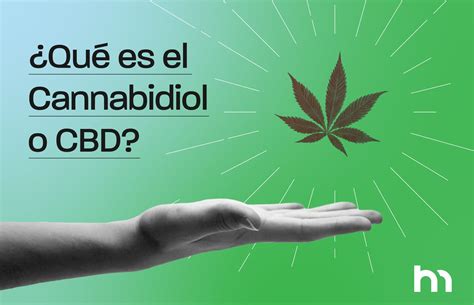 ¿Qué es el cannabidiol o CBD? - HempMeds Mexico