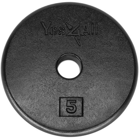 Buy Yes4All 1-inch Cast Iron Weight Plates for Dumbbells – Standard ...