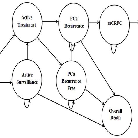 Computer Simulation Model Science 的图像结果