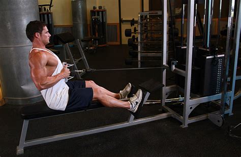 Basic Weight Training 的图像结果