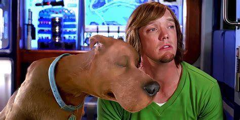 "Reset My Expectations": Matthew Lillard Candidly Reflects On Panned ...