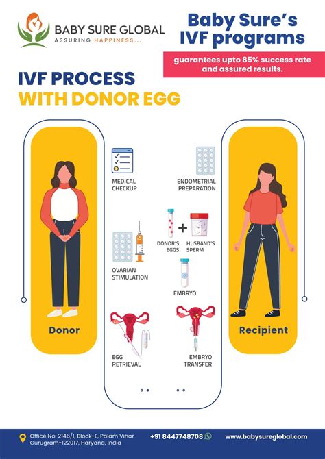 Exploring Fertility Procedures: Surrogacy, IVF, and More