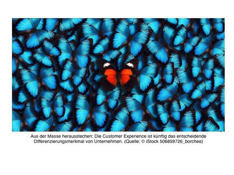 Analytics führt zur optimalen Customer Experience - Line of Biz