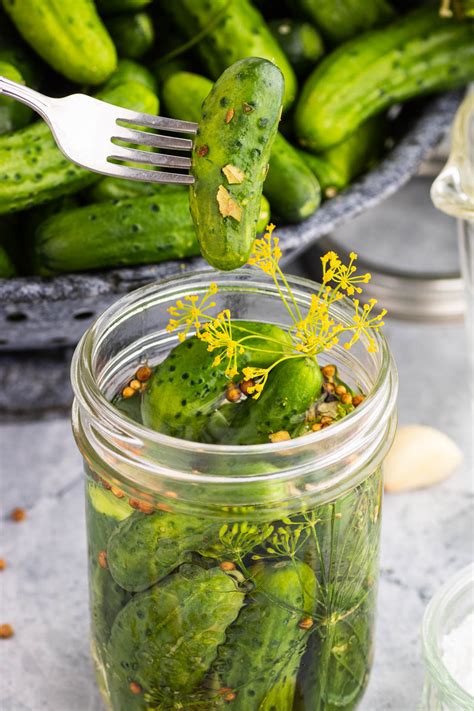 Canning Dill Pickles Homemade Dill Pickles (1 Day Pickles Without The
