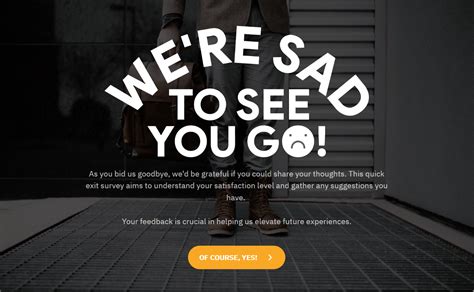 Survey Introduction Examples 的图像结果