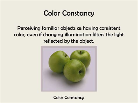 Image result for Color or Brightness Constancy