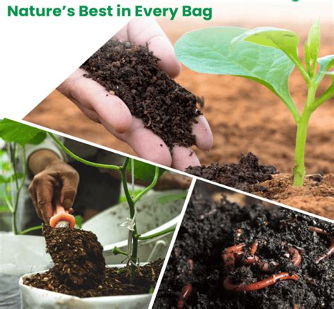 Sandila Annadata Organic Carbon Enhancer Compost - Soil Enrichment