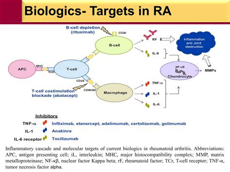 Anti-Rheumatic drugs | PPTX
