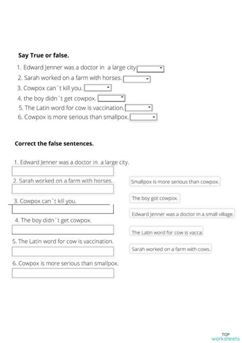 8th Grade Unit 3 Lesson 5 Practice Problems 1 的图像结果