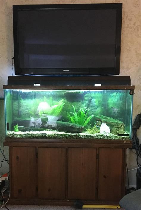 Bildergebnis für fire tv aquarium